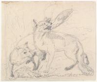 KT 2009 028-356
<br/>
Twee vossen.
<br/>
<em>Trigt, Stephanus Hendrik Willem van (1790-1840)</em>